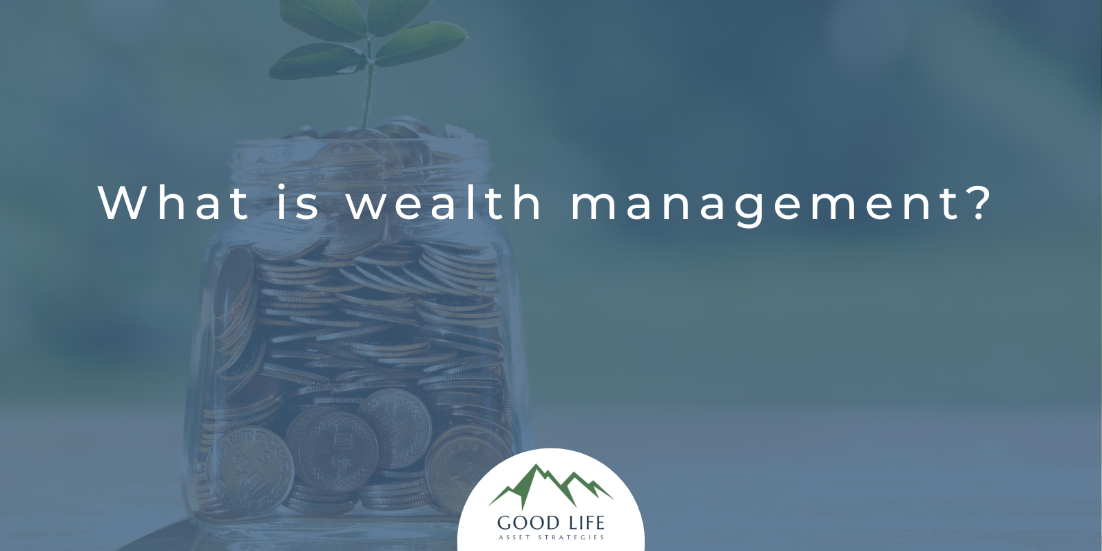 What is wealth management